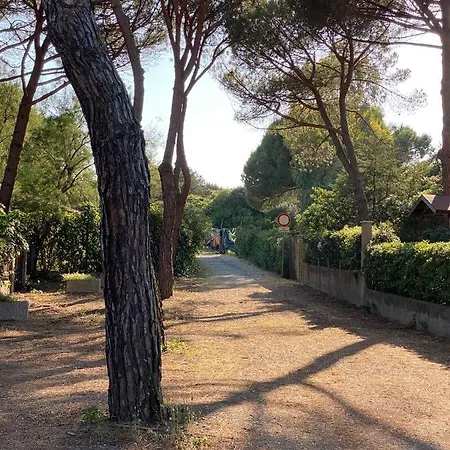 Vacanze Apartment *