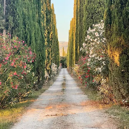 Vacanze Marina Di Bibbona
